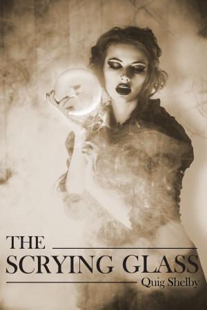 Cover of the book The Scrying Glass by Jack Goldstein