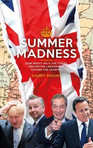 Cover of the book Summer Madness by Dinah May