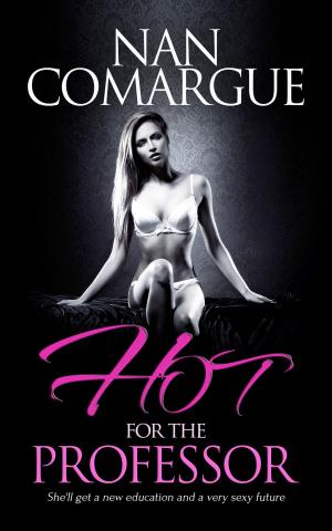 Cover of the book Hot for the Professor by J.P. Bowie, Simone Anderson, Jambrea Jo  Jones