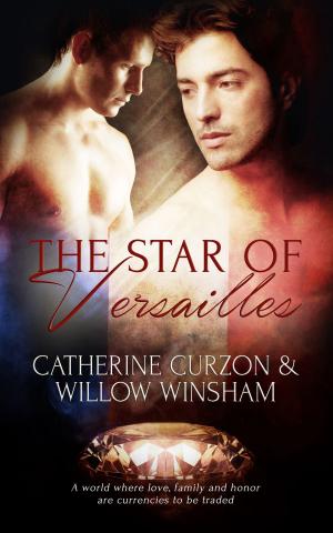 Cover of the book The Star of Versailles by A.J. Llewellyn, D.J. Manly