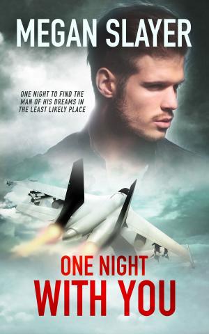 Cover of the book One Night With You by C.S. Chatterly