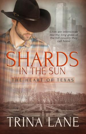 Cover of the book Shards in the Sun by Alice Sharpe