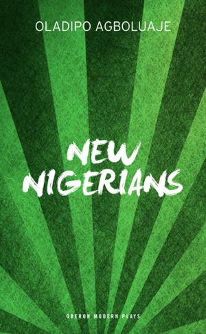 Cover of the book New Nigerians by Deborah Stein, Suli Holum