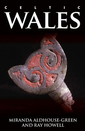 Cover of the book Celtic Wales by Jamie C. Fumo