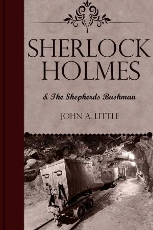 Cover of the book Sherlock Holmes and the Shepherds Bushman by Hugh Larkin