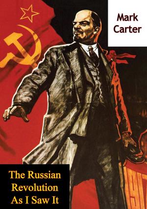 Cover of the book The Russian Revolution As I Saw It by Fredric Brown