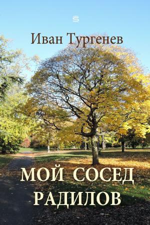 Cover of the book My Neighbour Radilov by Jeff Tikari