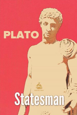 Cover of the book Statesman by Julius Caesar