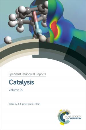 Cover of the book Catalysis by Valerio Causin, Nicholas Dawnay, Laurent Galmiche, Donata Favretto, Claire Gwinnett, Andres D Campiglia, John Corkery, Jacqueline L Stair, Mark Baron, Martin Schmid, Karl Wallace, Paola Calza, Giorgia Miolo, European Society Photobiology