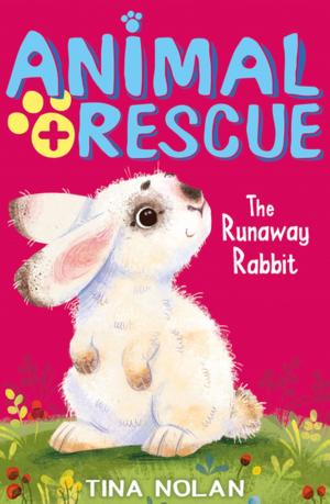 Book cover of The Runaway Rabbit