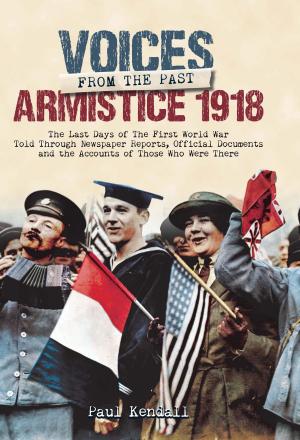 Book cover of Armistice 1918