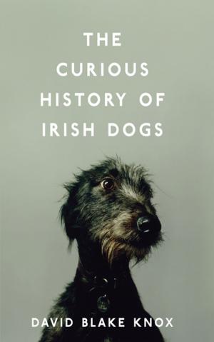Book cover of The Curious History of Irish Dogs