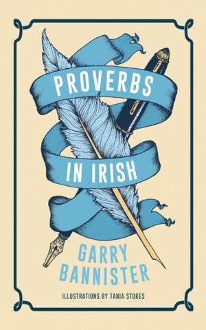 Cover of the book Proverbs in Irish by Donno Sørensen