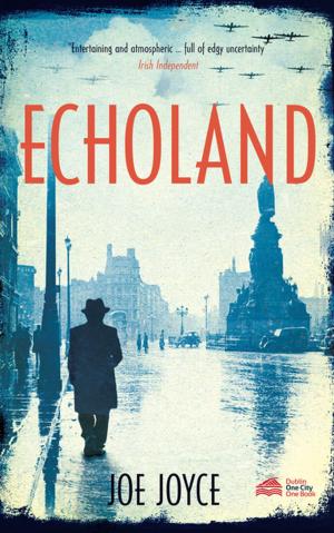 Cover of the book Echoland by Dan Boyle