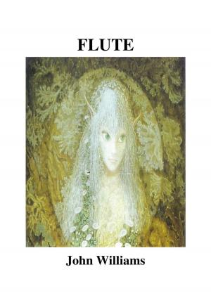 Cover of the book Flute by John Williams