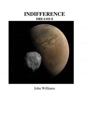 Cover of the book Indifference by John Williams