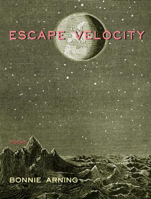 Cover of the book Escape Velocity by Cara Blessley Lowe