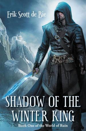 Cover of the book Shadow of the Winter King by Elise Stephens