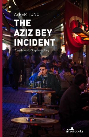 Cover of the book Aziz Bey Incident by Selvedin Advic