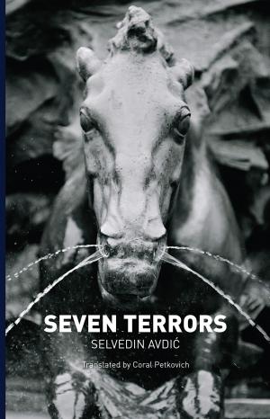 Cover of the book Seven Terrors by Marija Knezevic