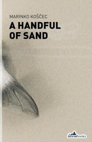 Cover of the book Handful of Sand by Gabriela Babnik