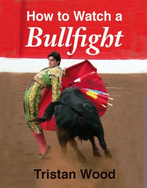 Book cover of How to Watch a Bullfight