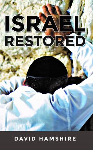 Cover of the book Israel Restored by Mathew Bartlett, Derek Williams