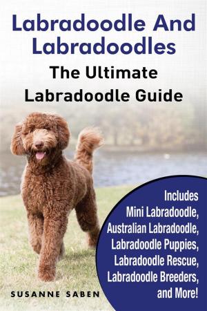 Cover of the book Labradoodle and Labradoodles by Susanne Saben