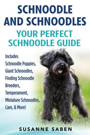 Cover of Schnoodle And Schnoodles