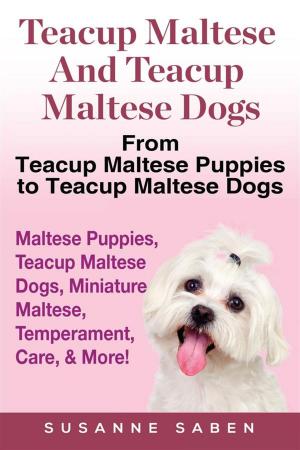 Cover of the book Teacup Maltese and Teacup Maltese Dogs by Susanne Saben
