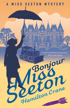 Book cover of Bonjour, Miss Seeton