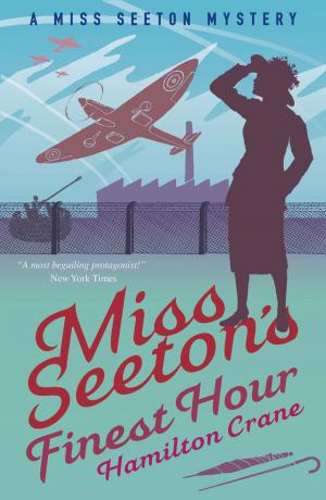 Cover of the book Miss Seeton's Finest Hour by Heron Carvic
