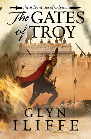 Cover of the book The Gates of Troy by Janet Tanner