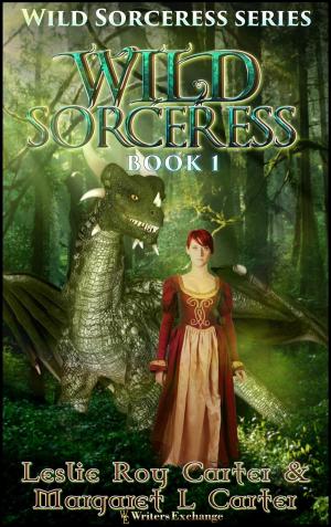 Cover of the book Wild Sorceress by Chris Andrews