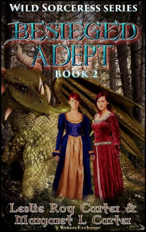 Cover of the book Besieged Adept by Karen Amanda Hooper