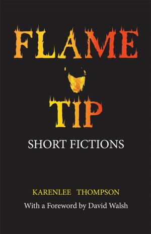 Cover of the book Flame Tip by Mark McCrindle, Emily Wolfinger
