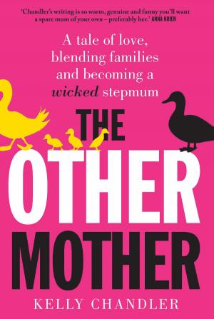 Cover of the book The Other Mother by Angela Pippos