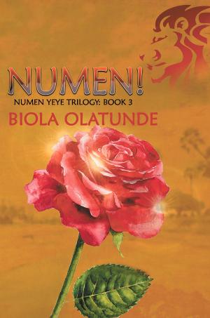 Cover of the book Numen! by David Bowles