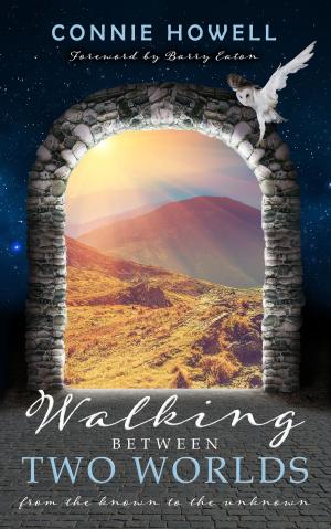 Cover of Walking Between Two Worlds: From the Known to the Unknown