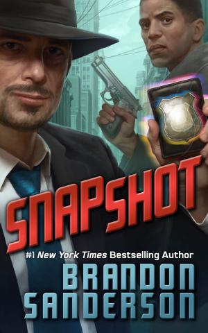 Cover of the book Snapshot by Kathrin Hutson