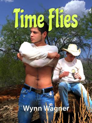 Cover of the book Time Flies by AK Faulkner