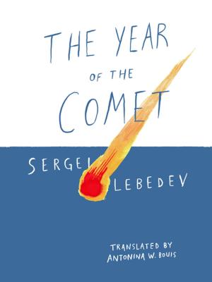 Cover of the book The Year of the Comet by Salvatore Settis