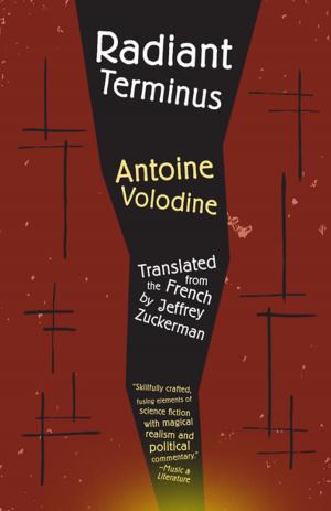 Cover of the book Radiant Terminus by Lúcio Cardoso