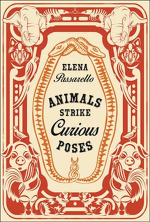 Cover of the book Animals Strike Curious Poses by Sharon Solwitz