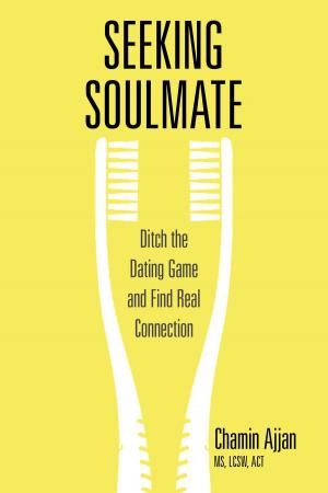 Cover of the book Seeking Soulmate by Gail Silver