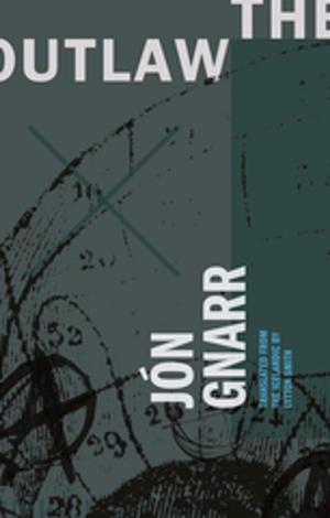 Cover of the book The Outlaw by Jón Gnarr