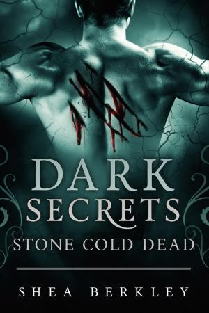 bigCover of the book Dark Secrets: Stone Cold Dead by 