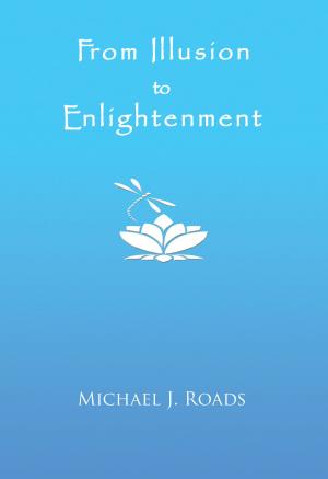 Book cover of From Illusion to Enlightenment
