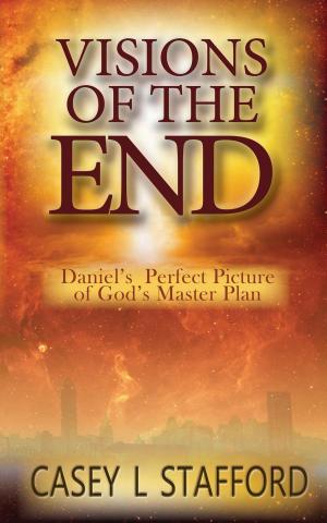 Cover of Visions of the End; Daniel's Perfect Picture of God's Master Plan