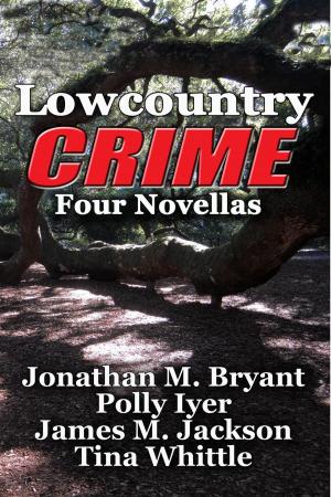 Book cover of Lowcountry Crime: Four Novellas